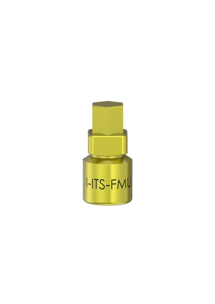 I-ITS-FMU - Converter and Extention Instr IT