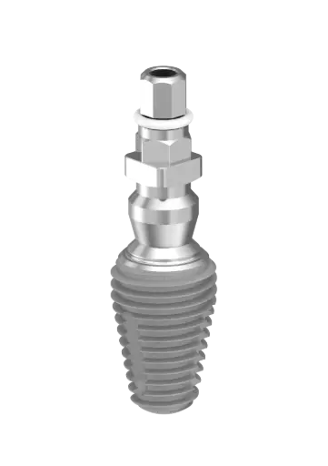 IT - IMPLANT MAX