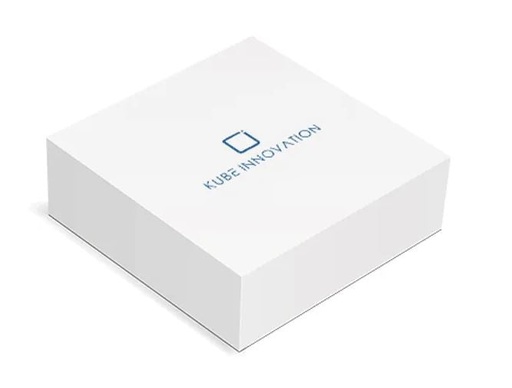[Sacs à usa] Sacs à usage unique Innobyte (lot de 100 unités)